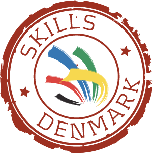 Hvad er Skills ?