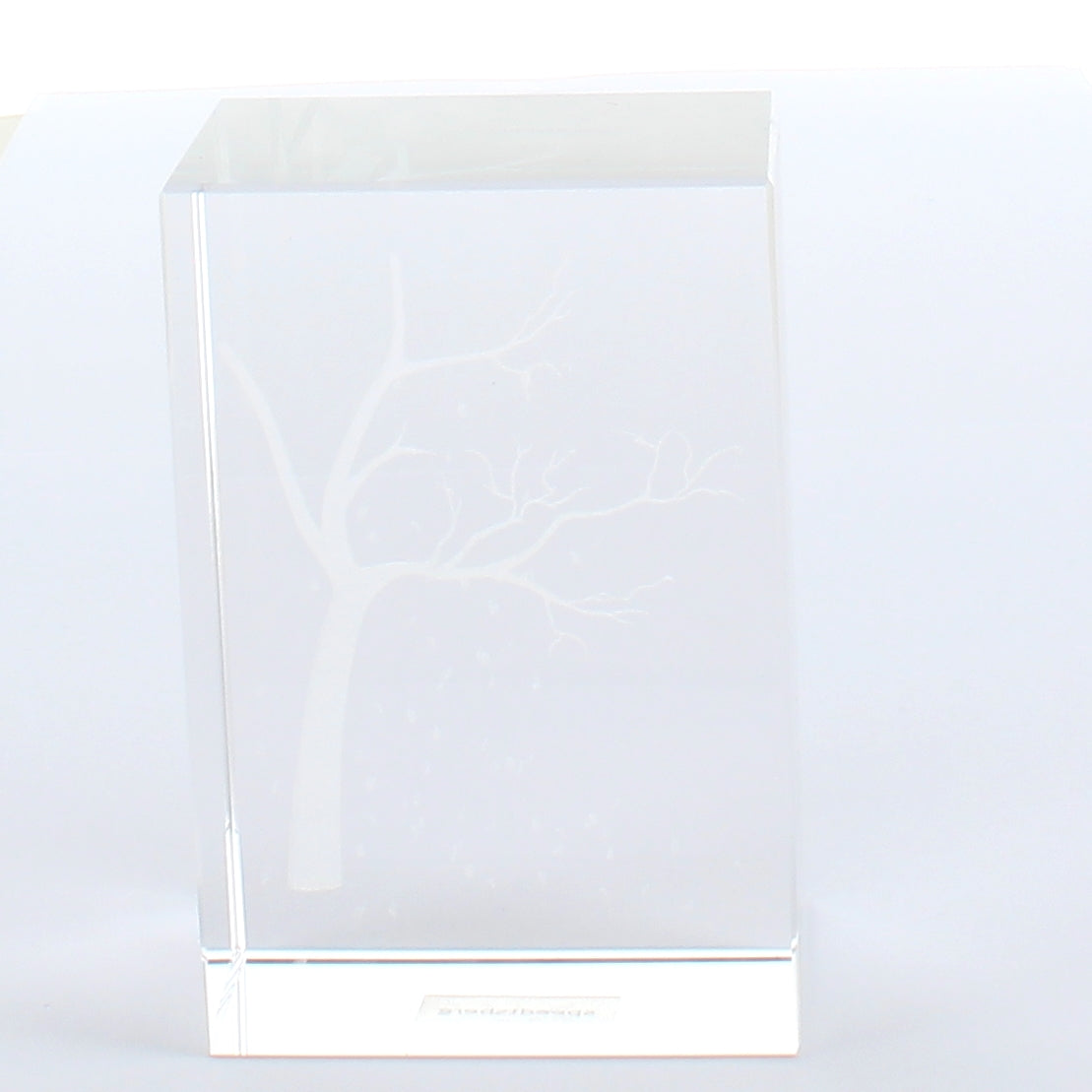Livstræ i glas, 9 cm, fra Speedtsberg